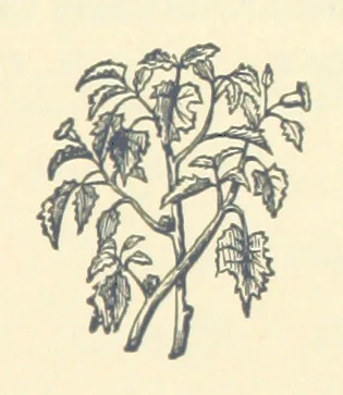 An illustration from A Daughter of Our Time, and other stories, 1884, leaf 13