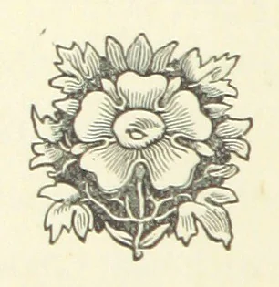 An illustration from A Daughter of Our Time, and other stories, 1884, leaf 316