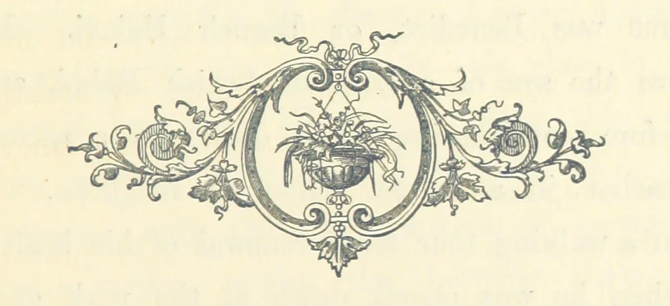 An illustration from A Daughter of Our Time, and other stories, 1884, leaf 49