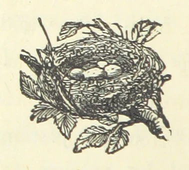 An illustration from A Daughter of Our Time, and other stories, 1884, leaf 68