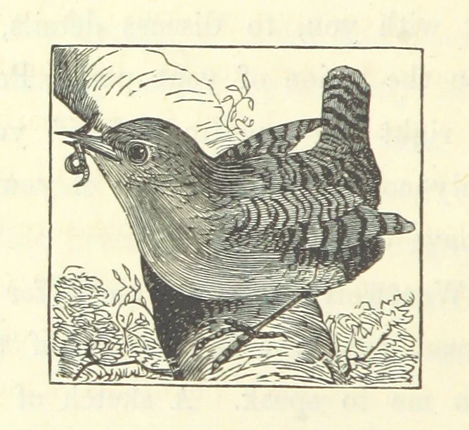 An illustration from A Daughter of Our Time, and other stories, 1884, leaf 88