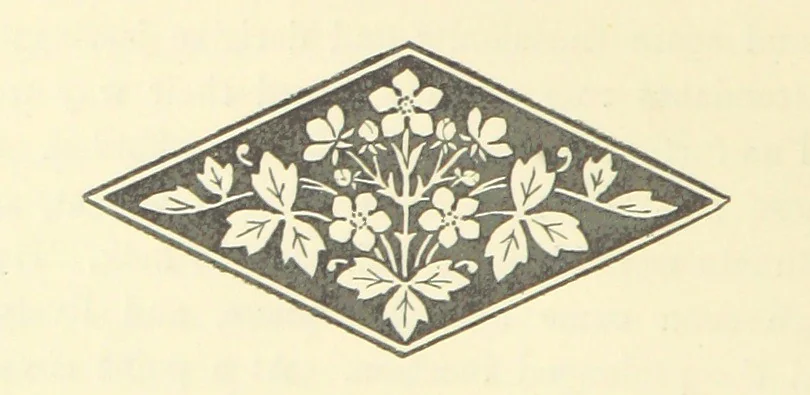 An illustration from Adventures in Many Lands ... with illustrations by S. P. Hall, 1879, leaf 126