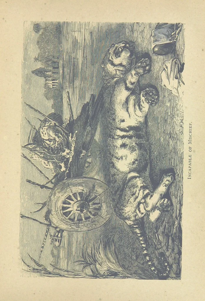 An illustration from Adventures in Many Lands ... with illustrations by S. P. Hall, 1879, leaf 133