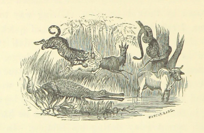 An illustration from Adventures in Many Lands ... with illustrations by S. P. Hall, 1879, leaf 140