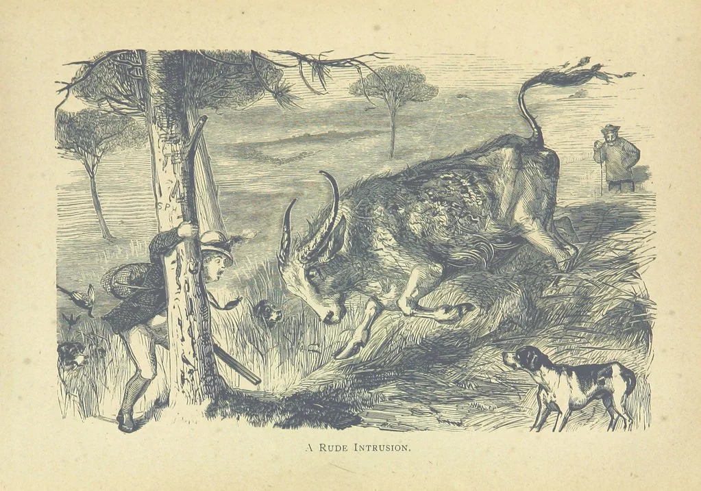 An illustration from Adventures in Many Lands ... with illustrations by S. P. Hall, 1879, leaf 169