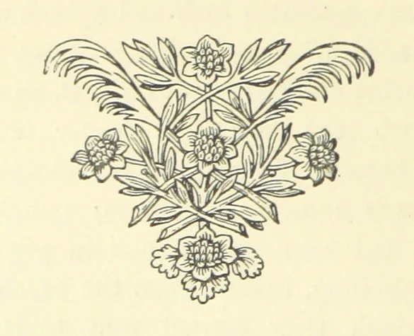 An illustration from Adventures in Many Lands ... with illustrations by S. P. Hall, 1879, leaf 182