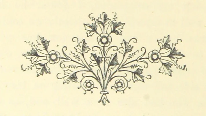 An illustration from Adventures in Many Lands ... with illustrations by S. P. Hall, 1879, leaf 220