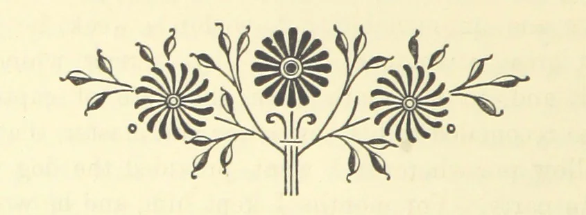 An illustration from Adventures in Many Lands ... with illustrations by S. P. Hall, 1879, leaf 40
