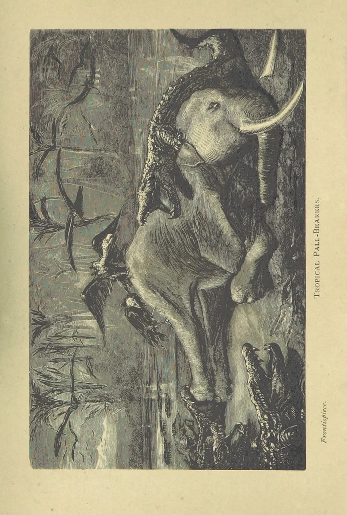 An illustration from Adventures in Many Lands ... with illustrations by S. P. Hall, 1879, leaf 6