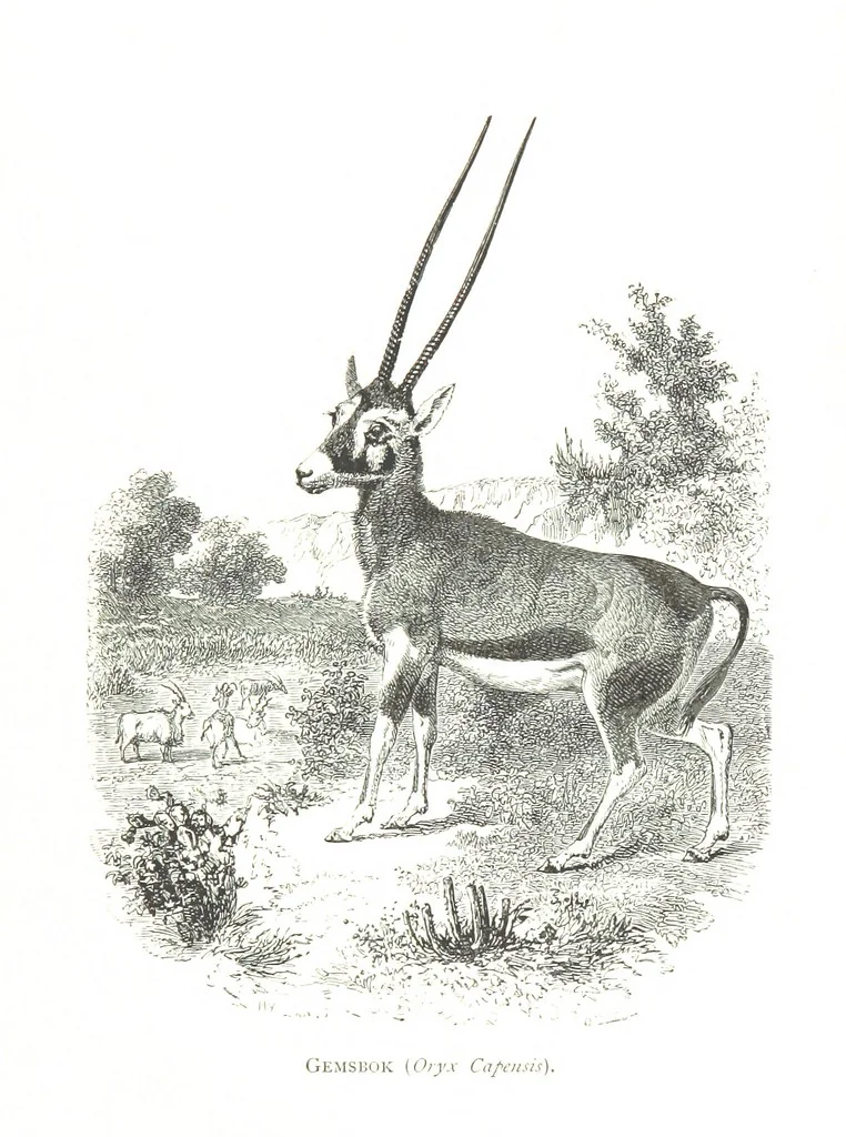 An illustration from Days and Nights in the Desert. With ... illustrations, 1888, leaf 153