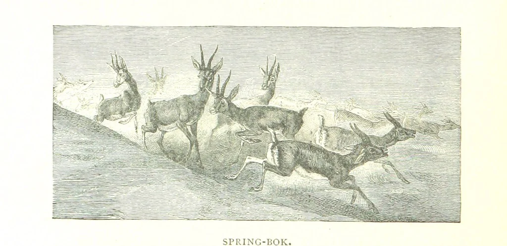 An illustration from Days and Nights in the Desert. With ... illustrations, 1888, leaf 190
