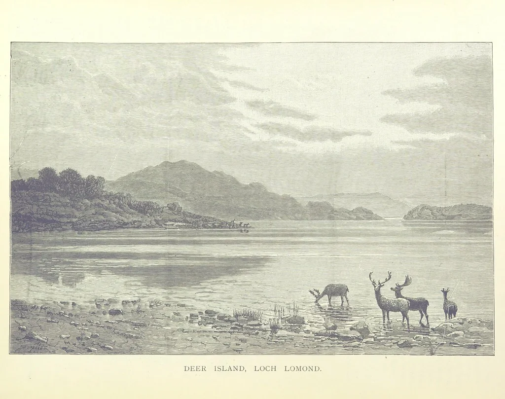 An illustration from Glasgow and it Environs. A literary, commercial and social review past and present ... With illustrated ... tour in the Highlands, 1891, leaf 351