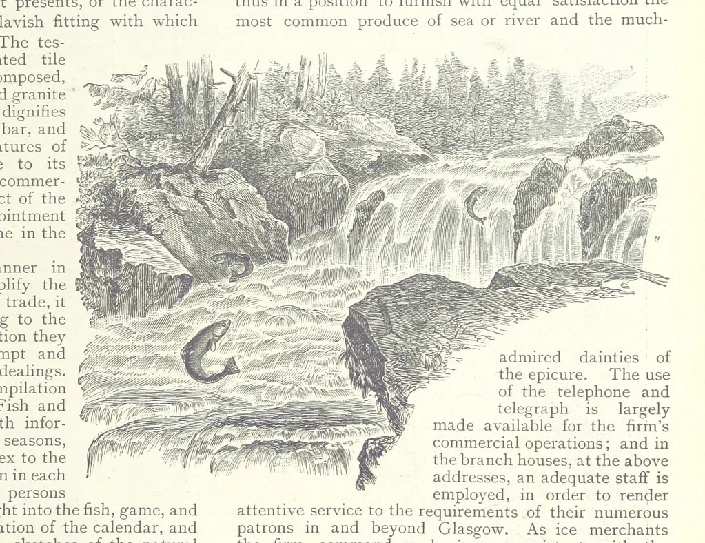 An illustration from Glasgow and it Environs. A literary, commercial and social review past and present ... With illustrated ... tour in the Highlands, 1891, leaf 95
