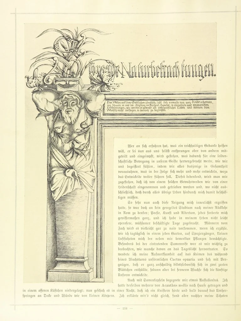 An illustration from Goethe's Italienische Reise. Mit 318 Illustrationen ... von J. von Kahle. Eingeleitet von ... H. Düntzer, 1885, leaf 412