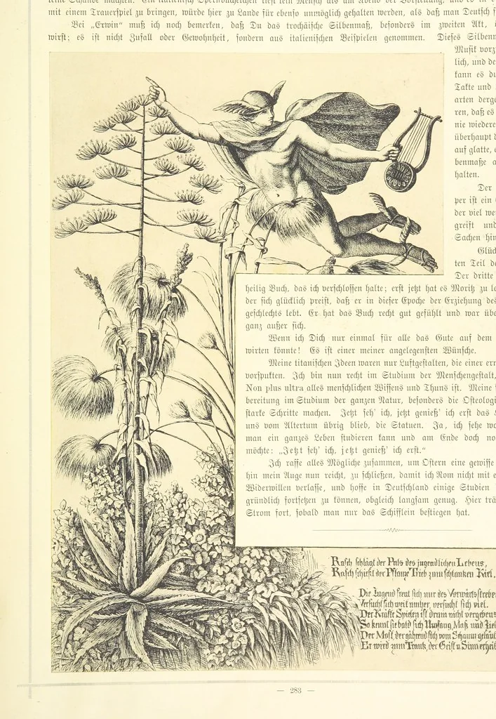 An illustration from Goethe's Italienische Reise. Mit 318 Illustrationen ... von J. von Kahle. Eingeleitet von ... H. Düntzer, 1885, leaf 503