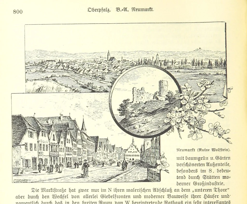 An illustration from Geographisch-historisches Handbuch von Bayern, 1895, leaf 818
