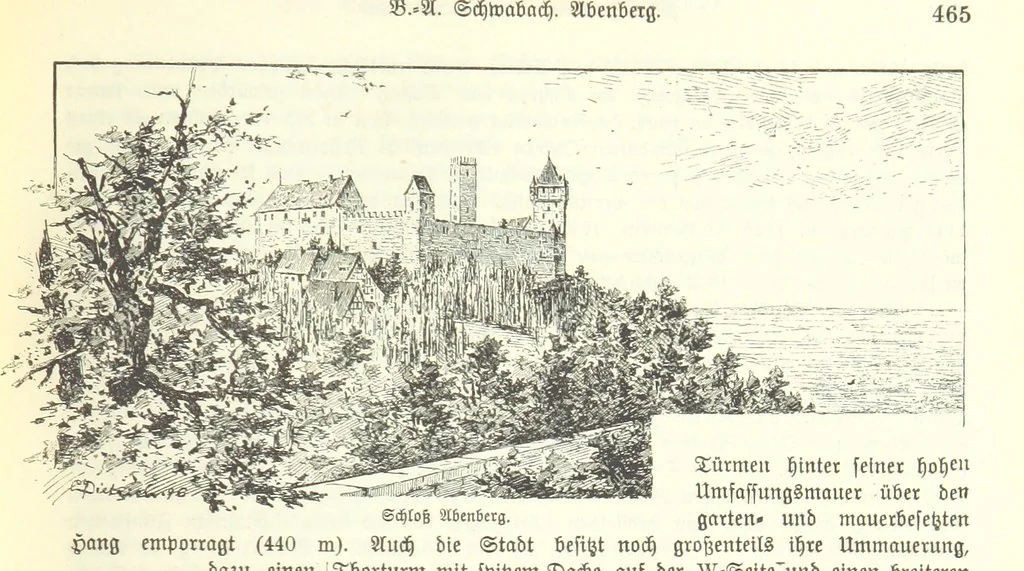 An illustration from Geographisch-historisches Handbuch von Bayern, 1895, leaf 481