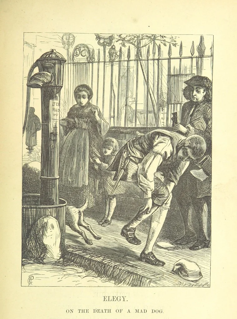 An illustration from Dalziels' Illustrated Goldsmith ... With one hundred pictures drawn by G. J. Pinwell, engraved by the brothers Dalziel, 1865, leaf 273