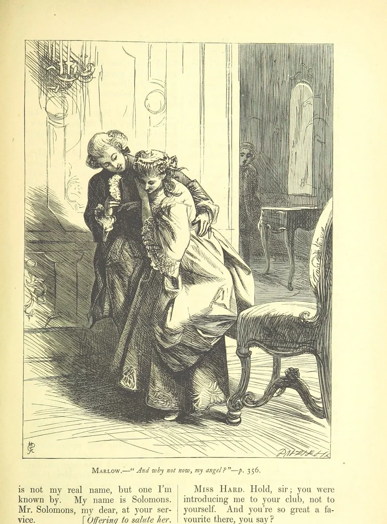 An illustration from Dalziels' Illustrated Goldsmith ... With one hundred pictures drawn by G. J. Pinwell, engraved by the brothers Dalziel, 1865, leaf 379