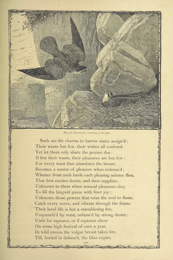 An illustration from The works of Oliver Goldsmith ... With introductions, notes, and a life of Oliver Goldsmith, by John Francis Waller, 1871, leaf 273