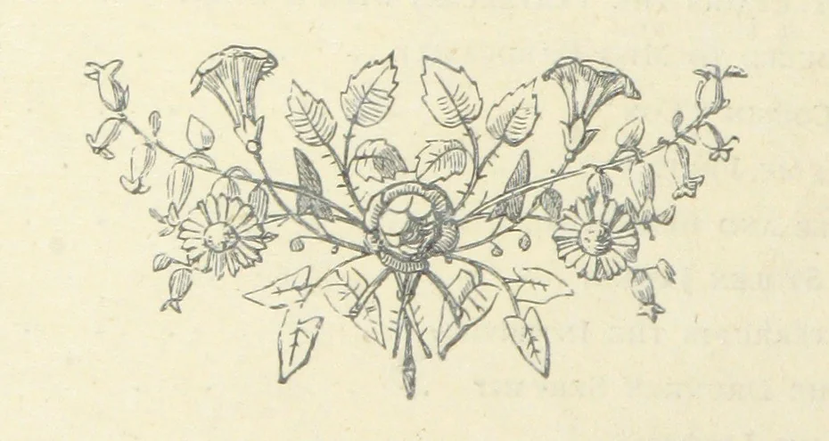 An illustration from The vicar of Wakefield, and other works ... With introduction notes and a life of Oliver Goldsmith, by John Francis Waller, 1877, leaf 16