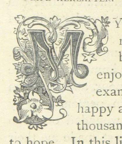 An illustration from The vicar of Wakefield, and other works ... With introduction notes and a life of Oliver Goldsmith, by John Francis Waller, 1877, leaf 208