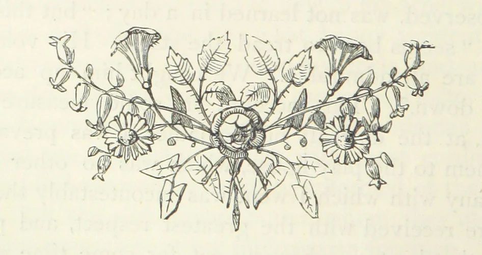 An illustration from The vicar of Wakefield, and other works ... With introduction notes and a life of Oliver Goldsmith, by John Francis Waller, 1885, leaf 148
