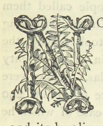 An illustration from The vicar of Wakefield, and other works ... With introduction notes and a life of Oliver Goldsmith, by John Francis Waller, 1885, leaf 17