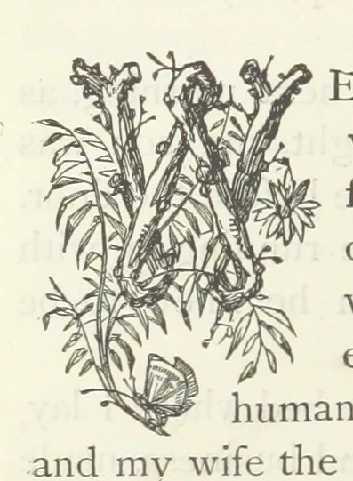 An illustration from The vicar of Wakefield, and other works ... With introduction notes and a life of Oliver Goldsmith, by John Francis Waller, 1885, leaf 184