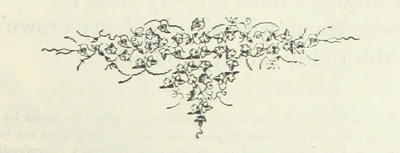 An illustration from The vicar of Wakefield, and other works ... With introduction notes and a life of Oliver Goldsmith, by John Francis Waller, 1885, leaf 263