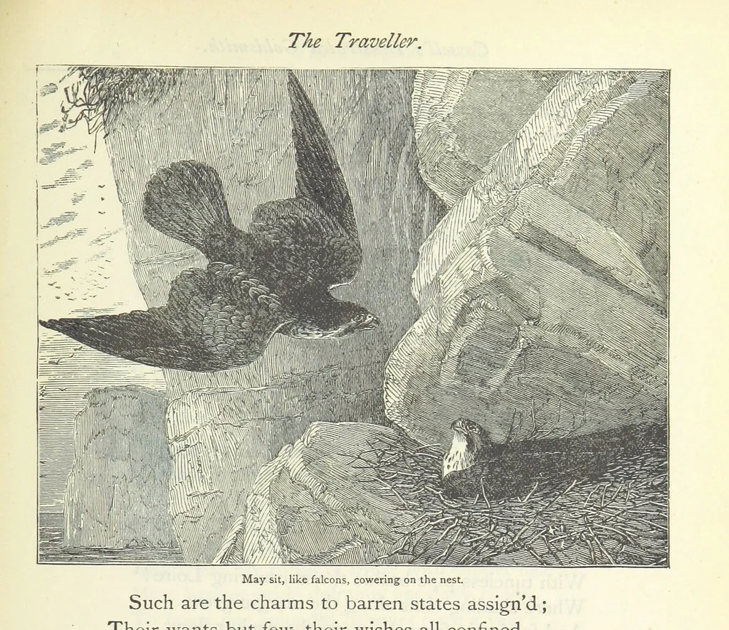 An illustration from The vicar of Wakefield, and other works ... With introduction notes and a life of Oliver Goldsmith, by John Francis Waller, 1885, leaf 273