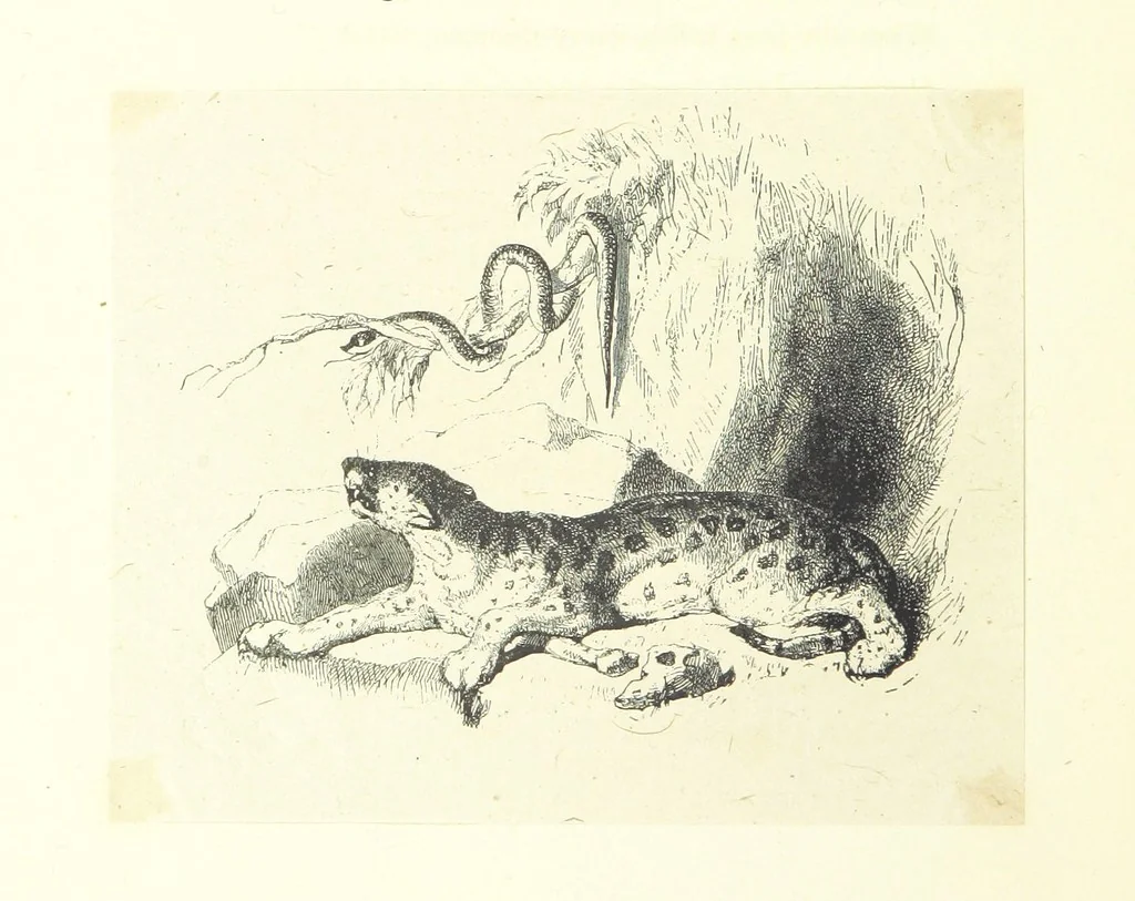 An illustration from The poetical works of Oliver Goldsmith. Illustrated by wood engravings from the designs of Cope, Creswick, Horsley, Redgrave, and Frederick Tayler, 1888, leaf 104