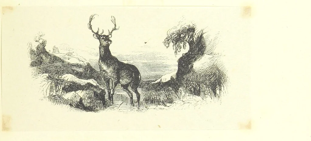 An illustration from The poetical works of Oliver Goldsmith. Illustrated by wood engravings from the designs of Cope, Creswick, Horsley, Redgrave, and Frederick Tayler, 1888, leaf 277