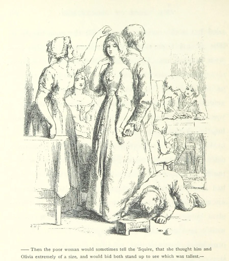 An illustration from The vicar of Wakefield. Nouvelle édition, avec une notice, un argument analytique et des notes par M. l'Abbé B. Colpin, 1896, leaf 116