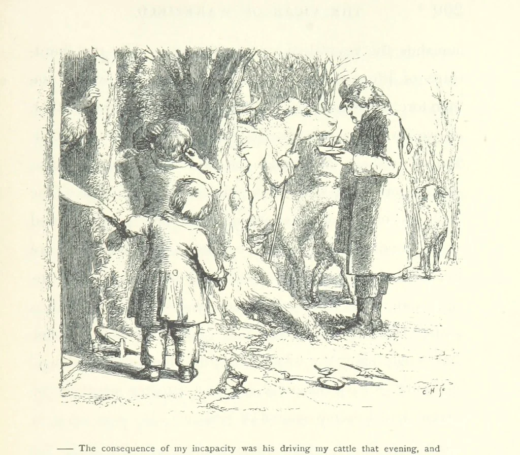 An illustration from The vicar of Wakefield. Nouvelle édition, avec une notice, un argument analytique et des notes par M. l'Abbé B. Colpin, 1896, leaf 221