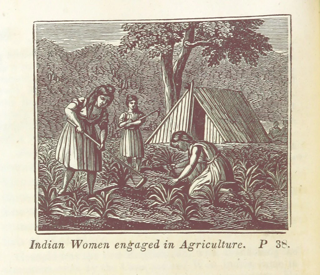 An illustration from The Child's History of the United States. Designed as a first book of history for schools. Illustrated by numerous anecdotes. Improved from the twenty-first edition, 1846, leaf 46