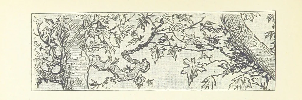 An illustration from Greater Love. By A. Gordon. And other stories by R. Barr, E. Halsted, etc, 1894, leaf 166