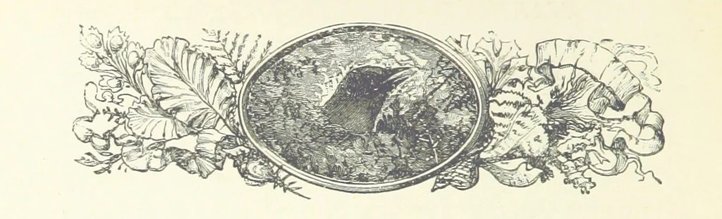 An illustration from Greater Love. By A. Gordon. And other stories by R. Barr, E. Halsted, etc, 1894, leaf 178
