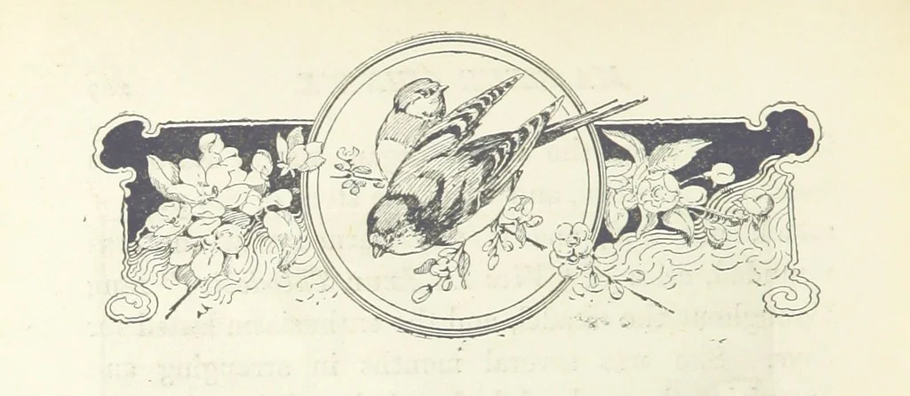 An illustration from Greater Love. By A. Gordon. And other stories by R. Barr, E. Halsted, etc, 1894, leaf 214