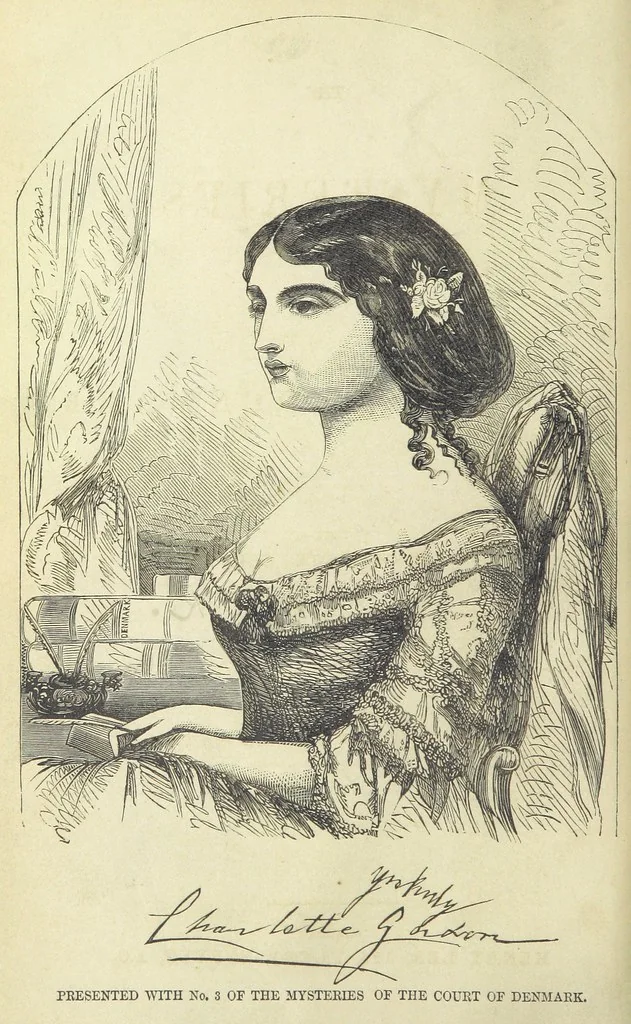 An illustration from The Mysteries of the Court of Denmark ... Illustrated, 1863, leaf 10