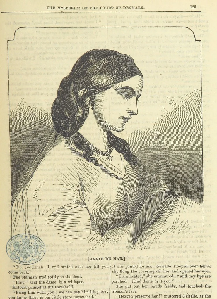 An illustration from The Mysteries of the Court of Denmark ... Illustrated, 1863, leaf 141