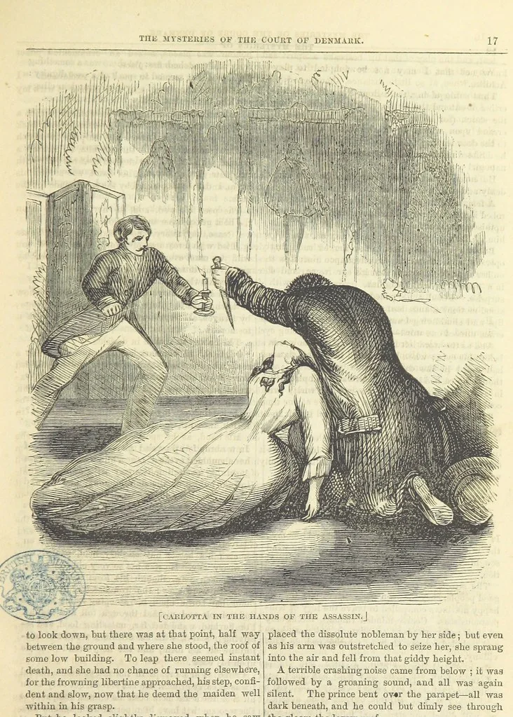 An illustration from The Mysteries of the Court of Denmark ... Illustrated, 1863, leaf 29