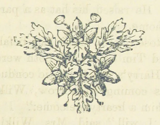 An illustration from Harry Dale's Jockey “Wild Rose.” Her Life and Adventures, 1893, leaf 95