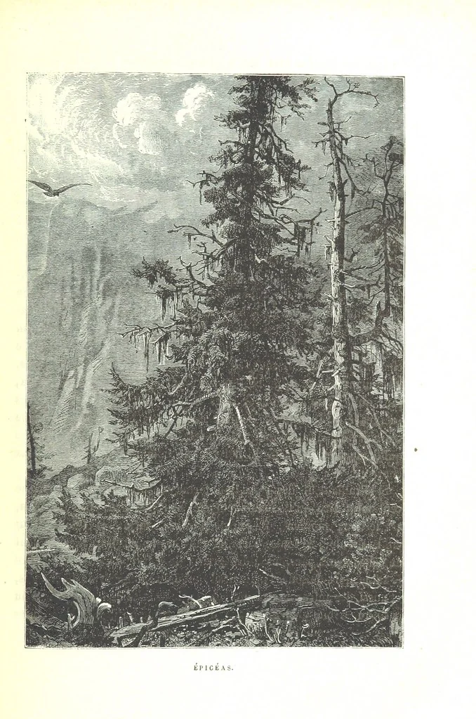 An illustration from La Suisse pittoresque, 1882, leaf 115