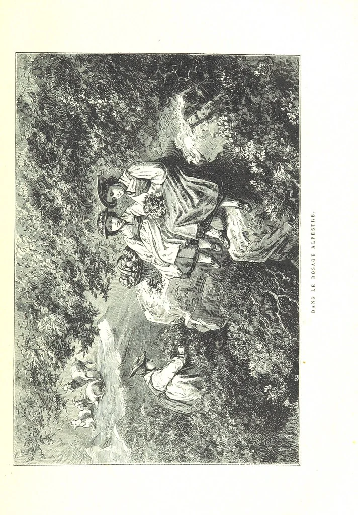 An illustration from La Suisse pittoresque, 1882, leaf 121
