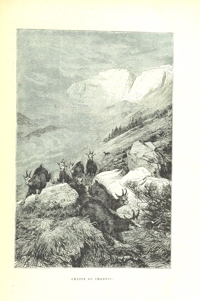An illustration from La Suisse pittoresque, 1882, leaf 127