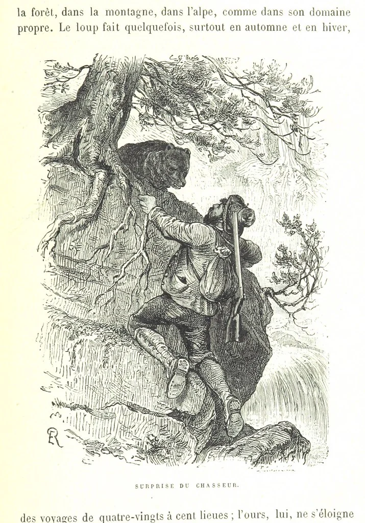 An illustration from La Suisse pittoresque, 1882, leaf 129
