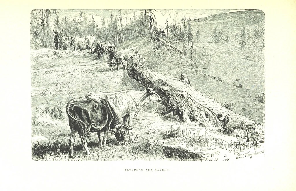 An illustration from La Suisse pittoresque, 1882, leaf 139
