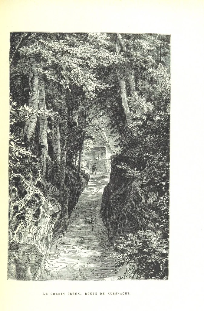 An illustration from La Suisse pittoresque, 1882, leaf 155