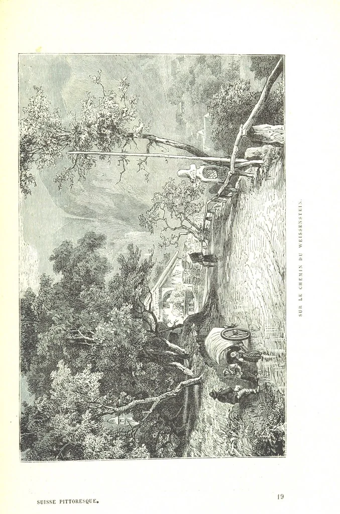 An illustration from La Suisse pittoresque, 1882, leaf 295